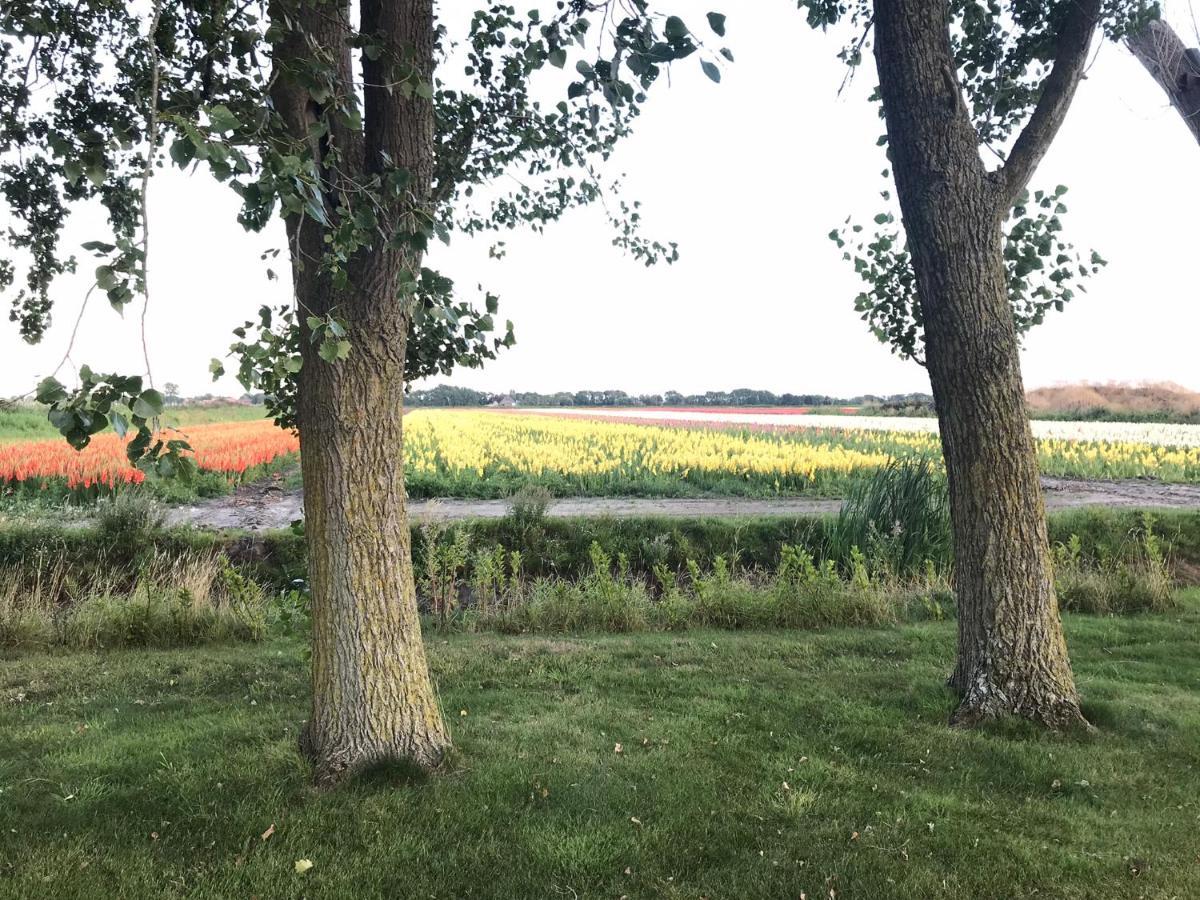 Apartament Landgoed Swaensborgh Oudesluis  Zewnętrze zdjęcie