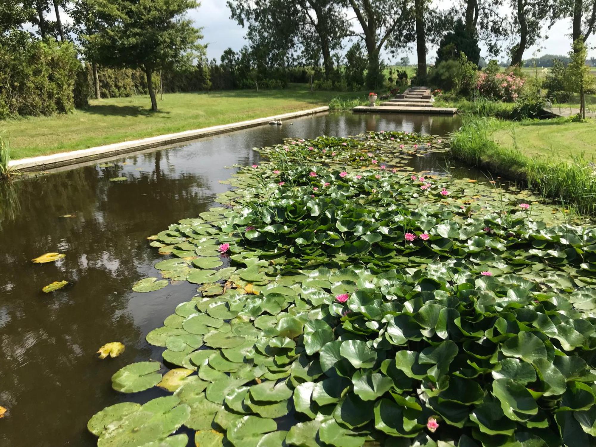 Apartament Landgoed Swaensborgh Oudesluis  Zewnętrze zdjęcie